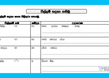 Grade 03 Sinhala | Pillam Hadunaganimu