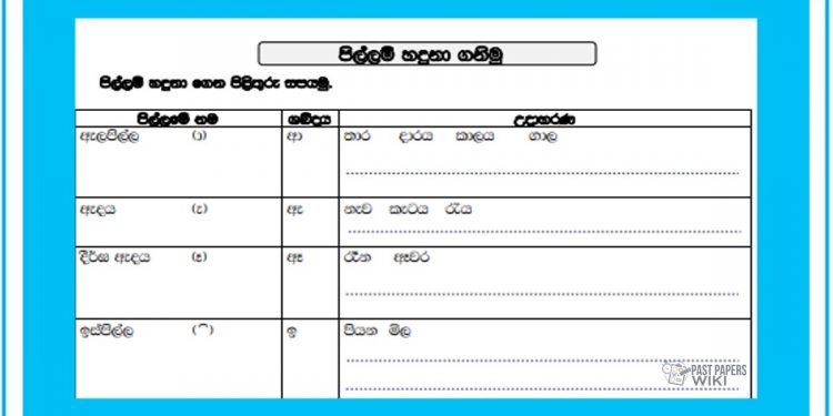 Grade 03 Sinhala | Pillam Hadunaganimu