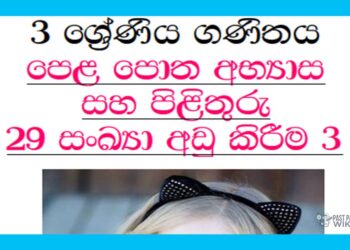 Grade 03 Mathematics Unit 29 | Textbook Exercises – Part 03