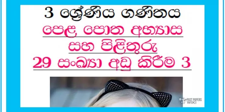Grade 03 Mathematics Unit 29 | Textbook Exercises – Part 03