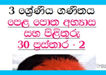 Grade 03 Mathematics Unit 30 | Textbook Exercises – Part 02