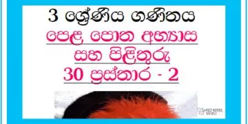 Grade 03 Mathematics Unit 30 | Textbook Exercises – Part 02