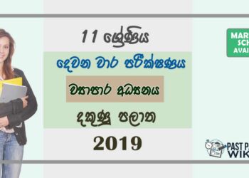 Grade 11 Business And Accounting Studies 2nd Term Test Paper with Answers 2019 Sinhala Medium - Southern Province