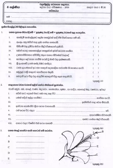 Grade 04 Environment 2nd Term Test Paper 2018 Sinhala Medium – Walasmulla Zone