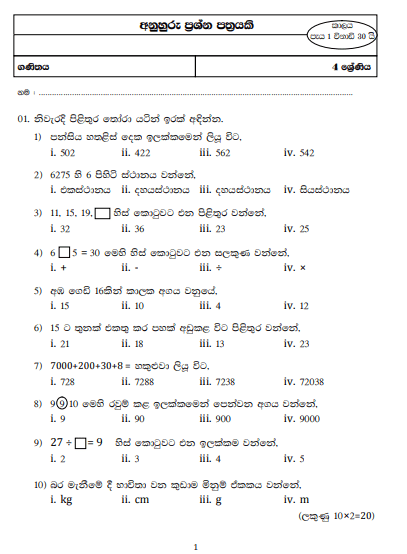 mathematics paper