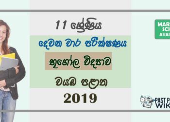 Grade 11 Geography 2nd Term Test Paper with Answers 2019 Sinhala Medium - North western Province