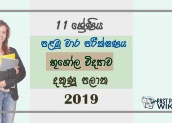 Grade 11 Geography 1st Term Test Paper 2019 Sinhala Medium - Southern Province