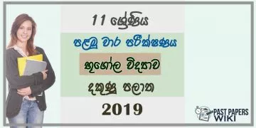 Grade 11 Geography 1st Term Test Paper 2019 Sinhala Medium - Southern Province