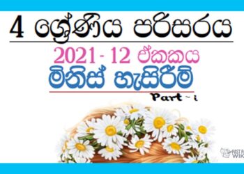 Grade 04 Environment Unit 12 | Minis Hesirim – Part 01