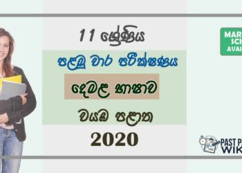 Grade 11 Tamil Language 1st Term Test Paper with Answers 2020 Sinhala Medium - North western Province