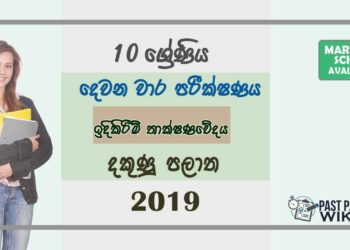 Grade 10 Design and Construction Technology 2nd Term Test Paper with Answers 2019 Sinhala Medium - Southern Province