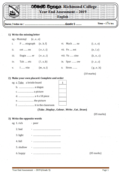 grade 5 english 3rd term paper