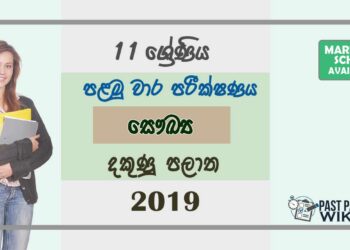 Grade 11 Health And Physical Education 1st Term Test Paper with Answers 2019 Sinhala Medium - Southern Province