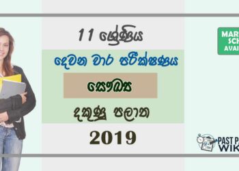 Grade 11 Health And Physical Education 2nd Term Test Paper with Answers 2019 Sinhala Medium - Southern Province
