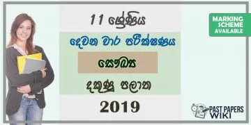 Grade 11 Health And Physical Education 2nd Term Test Paper with Answers 2019 Sinhala Medium - Southern Province