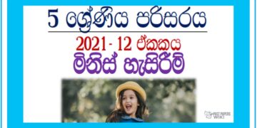 Grade 05 Environment Unit 12 | Minis Hesirim