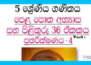 Grade 05 Mathematics Unit 36 | Textbook Exercises – Part 01