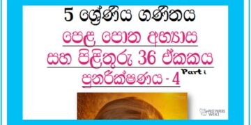 Grade 05 Mathematics Unit 36 | Textbook Exercises – Part 01