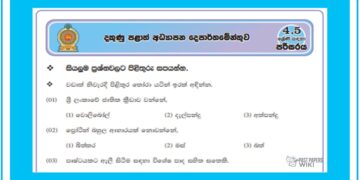 Grade 05 Environment Model Paper Sinhala Medium – Southern Province