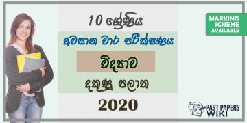 Grade 10 Science 3rd Term Test Paper with Answers 2020 Sinhala Medium - Southern Province