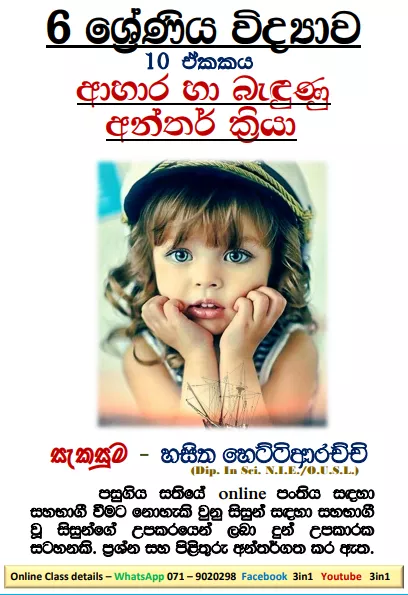 Grade 06 Science – Unit 10 | Food Related Interactions