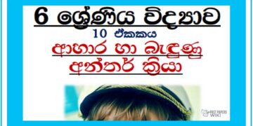 Grade 06 Science – Unit 10 | Food Related Interactions