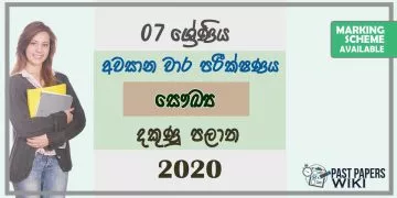 Grade 07 Health 3rd Term Test Paper 2020 Sinhala Medium – Southern Province
