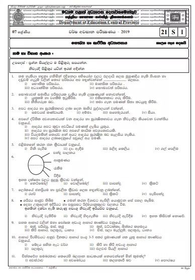 Grade 07 Health 3rd Term Test Paper 2019 Sinhala Medium – Central Province