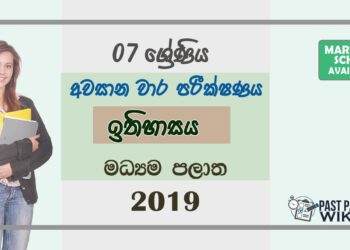 Grade 07 History 3rd Term Test Paper 2019 Sinhala Medium – Central Province