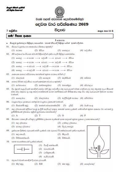 Grade 07 Science 2nd Term Test Paper 2019 Sinhala Medium – Southern Province