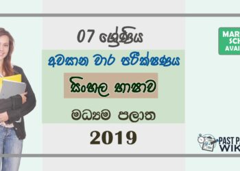 Grade 07 Sinhala 3rd Term Test Paper 2019 Sinhala Medium – Central Province