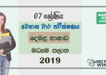 Grade 07 Tamil 3rd Term Test Paper 2019 Sinhala Medium – Central Province
