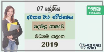 Grade 07 Tamil 3rd Term Test Paper 2019 Sinhala Medium – Central Province