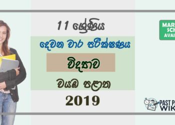 Grade 11 Science 2nd Term Test Paper with Answers 2019 Sinhala Medium - North western Province