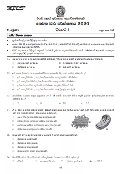 Grade 10 Science 3rd Term Test Paper with Answers 2020 Sinhala Medium - North western Province