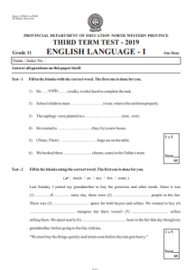 grade 11 lo assignment term 3