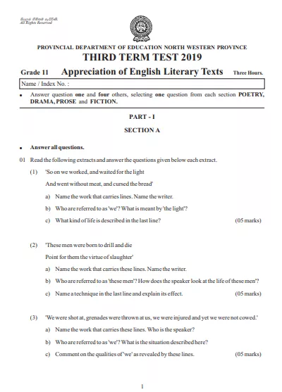 Grade 11 English Literature 3rd Term Test Paper 2019 - North western Province