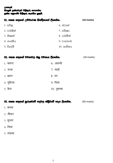 Grade 10 Hindi 3rd Term Test Paper 2020 - North western Province