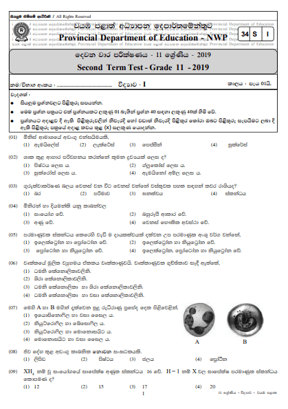 Grade Science Paper Sinhala Images Grade Rd Term Past Papers | Hot Sex ...