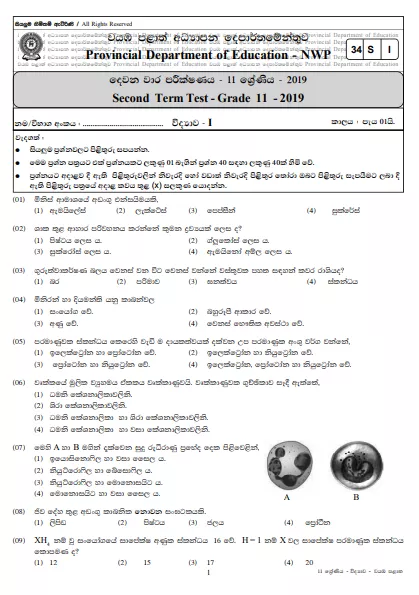 Grade 11 Science 2nd Term Test Paper with Answers 2019 Sinhala Medium - North western Province