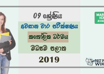 Grade 09 Catholicism 3rd Term Test Paper With Answers 2019 Sinhala Medium - Central Province