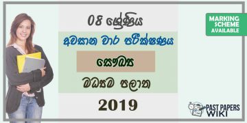Grade 08 Health And Physical Education 3rd Term Test Paper With Answers 2019 Sinhala Medium - Central Province