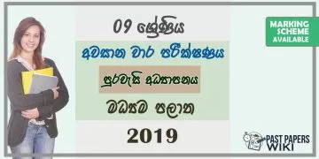 Grade 09 Civics Education 3rd Term Test Paper With Answers 2019 Sinhala Medium - Central Province
