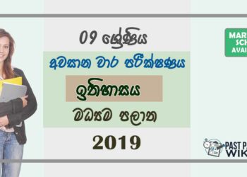 Grade 09 History 3rd Term Test Paper With Answers 2019 Sinhala Medium - Central Province