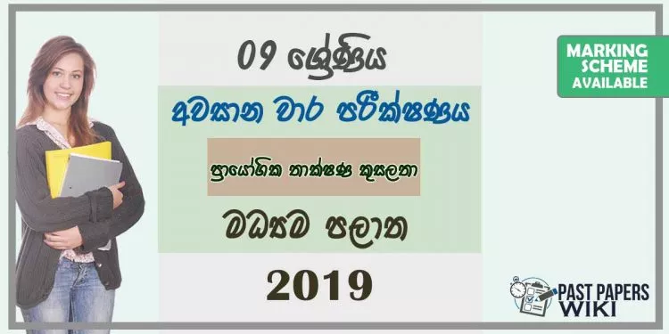 Grade 09 Practical And Technical Skill 3rd Term Test Paper With Answers 2019 Sinhala Medium - Central Province