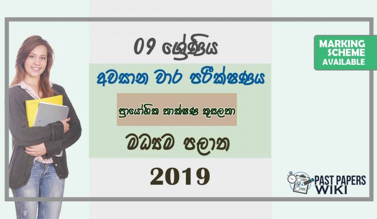 Grade 09 Practical And Technical Skill 3rd Term Test Paper With Answers 2019 Sinhala Medium - Central Province