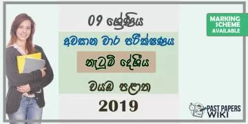 Grade 09 Dancing 3rd Term Test Paper With Answers 2019 Sinhala Medium - North western Province