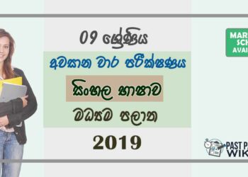 Grade 09 Sinhala Language 3rd Term Test Paper With Answers 2019 Sinhala Medium - Central Province