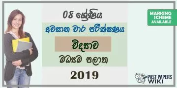 Grade 08 Science 3rd Term Test Paper With Answers 2019 Sinhala Medium - Central Province