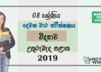 Grade 08 Science 2nd Term Test Paper With Answers 2019 Sinhala Medium - North Central Province